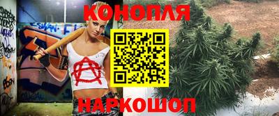 a pvp Кунгур