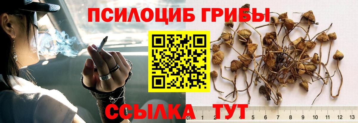 Азов  Галлюциногенные грибы GOLDEN TEACHER  Вход с VPN 